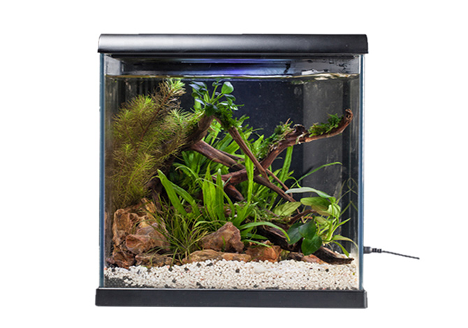 智能魚缸外殼注塑件